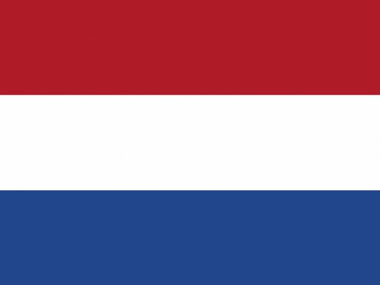 Opfriscursus Nederlands 2026