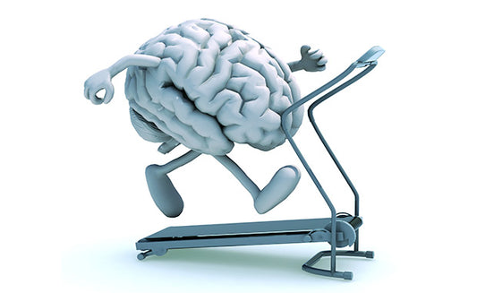 Brain Bootcamp, over wat het menselijke brein kan en wat AI kan. 1 december 2026