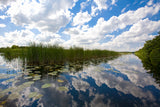Fotografiecursus voor gevorderden; macro-, landschap- en straatfotografie